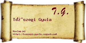 Tószegi Gyula névjegykártya